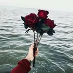 afaf mousa 99 - @afaf_mousa99 - Instagram
