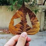 Mousa Afaf - @mousa.afaf.3 - Instagram