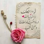 Afaf Nasser - @afaf.nasser.395 - Instagram