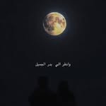 Afaf Nasser - @afafnasser60 - Instagram