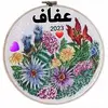 afafoun - @afafefo177 - TikTok