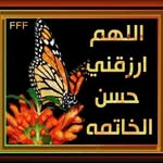 Afaf Sadek - @sadekafaf - Instagram