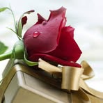 Afaf Sadek - Facebook