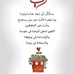 Afaf Said - @afaf.said.5264 - Instagram