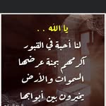 Afaf Said - @said.afaf - Instagram