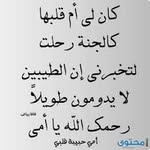 Afaf Said - @afaf.said.754 - Instagram