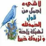 Afaf Salah - @afaf.salah.52 - Instagram