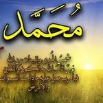 Afaf Soliman - @afafsoliman965 - Instagram