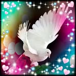 Afaf Soliman - @afaf6132 - Instagram