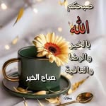 Afaf Soliman - @afafsoliman271 - Instagram