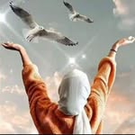 Afaf Soliman Soliman - @afafsolimansoliman - Instagram