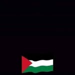Afaf Taha - @afaff_taha - Instagram
