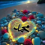 afan ahmed - @afanahmed65 - Instagram