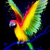 Afaq alam - @afaqalam51 - TikTok
