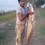 Afaq Alam Afaq Alam - @alamafaqalamafaq - Instagram