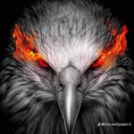 Afaq Ashraf - @afaqa93675716 - Instagram