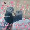 Afaq Gul - @afaq.gul52 - TikTok