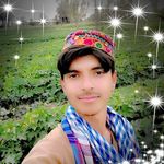 Ali King - @afaq.gulli - Instagram