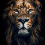 Afaq Syed - @afaqsyed62 - Instagram
