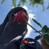 عفیفہ♥️🥀 - @afeefasheikh1 - TikTok