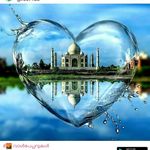 Afeefa Ashraf - @ashraf.afeefa - Instagram