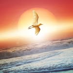 mucaj-aferdita - @mucajaferdita9 - Instagram