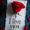 afia - @afiahussain866 - TikTok
