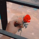 Afia hussain - @afiahussain6 - Instagram