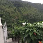 Afifa Abdullah - Facebook
