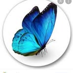 Afifa Abdullah - Facebook
