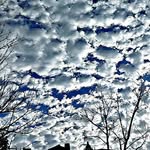 Soha_Ali_Akram - @afifa_akram01 - Instagram