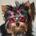 Afifa Greige - Facebook