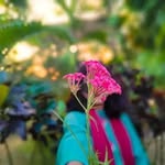 Afifa Farjana Haque Labonno - @labonno.exe_spoted - Instagram