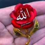 Afifa Mirza - @afifamirza85 - Instagram