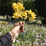 Afifa Mirza 🦋 - @afifazafar14 - Instagram