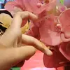 @ nusrat jahan - @afifauddinfariha - TikTok