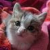Afiya Ali - Facebook