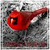 revsafiyabrownrad - @revsafiyabrownrad - TikTok