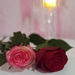 Afnan Al - @afnanal40 - Instagram