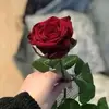 Afnan Al - @afnan.al603 - TikTok
