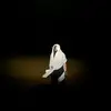 afnanalsaqqaf.official - @afnanalsaqqaf.official - TikTok
