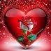 Afnan Ali - Facebook