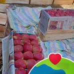 Afnan Altaf - Facebook