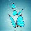 Afnan altaf brothers - @afnanaltaf786 - TikTok
