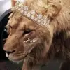 Afnan Anwar - @afnananwar26 - TikTok