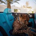 Afnan Hamdan - @byafnanhamdan - Instagram