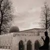 afnanhamdan391 - @afnanhamdan391 - TikTok