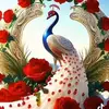 Afnan islam - @afnan.islam63 - TikTok