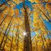 Afnan Islam - Facebook