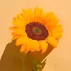 Afnan Mohammed - @afnanmohammad369 - TikTok